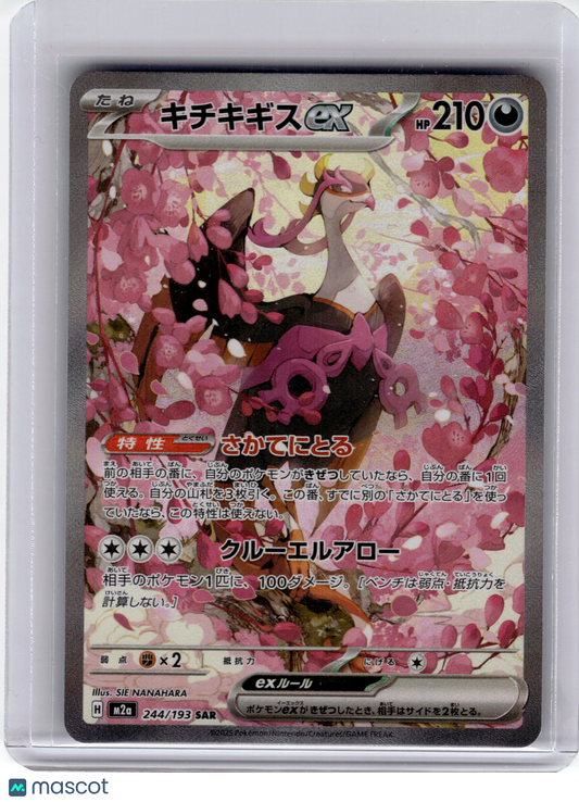 2025 Pokemon Fezandipiti EX Mega Dream Special Art Rare #244 Japanese Near Mint