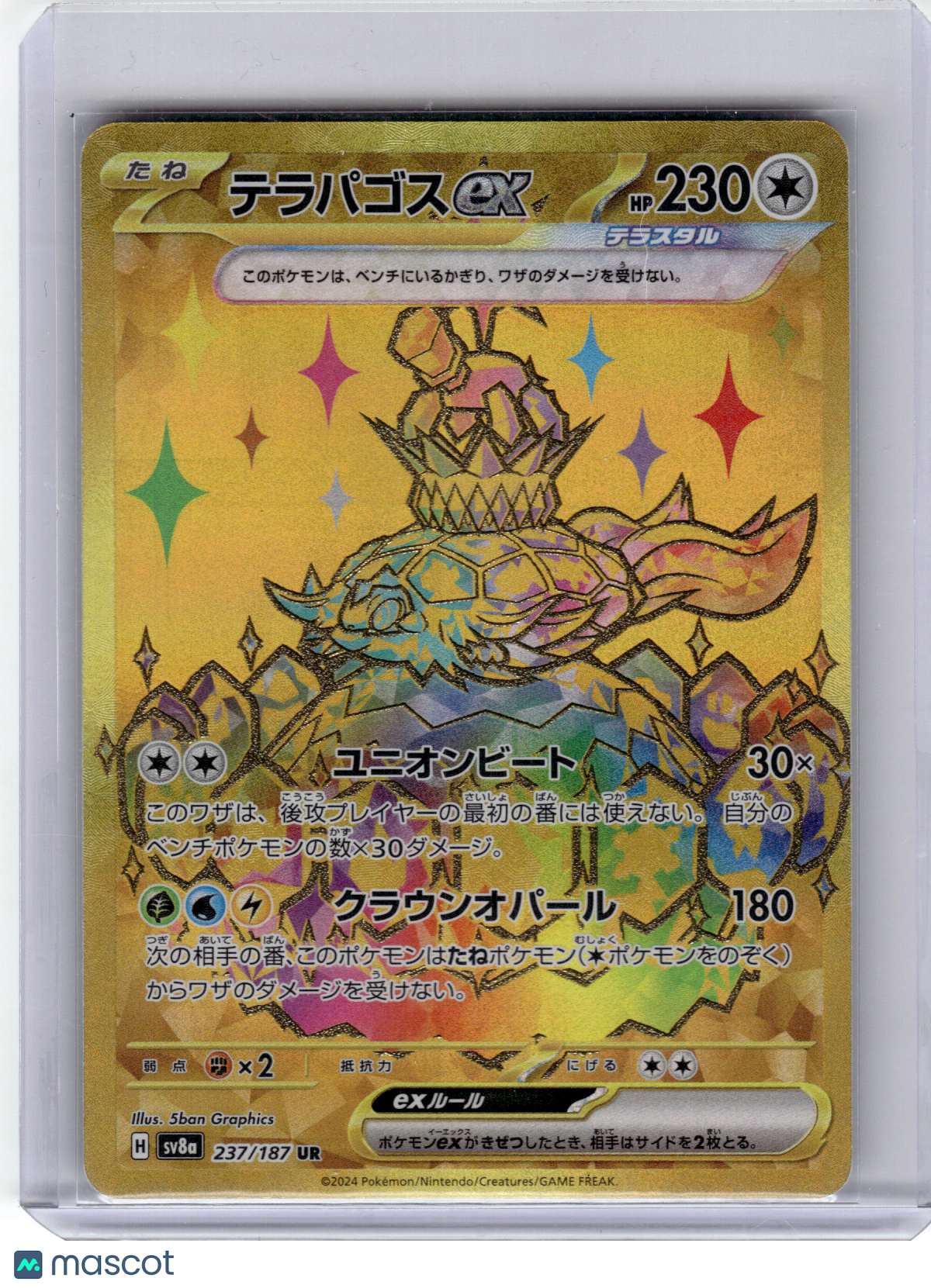 2024 Pokemon Terapagos EX Terastal Fest Ex Ultra Rare #237 Japanese Near Mint
