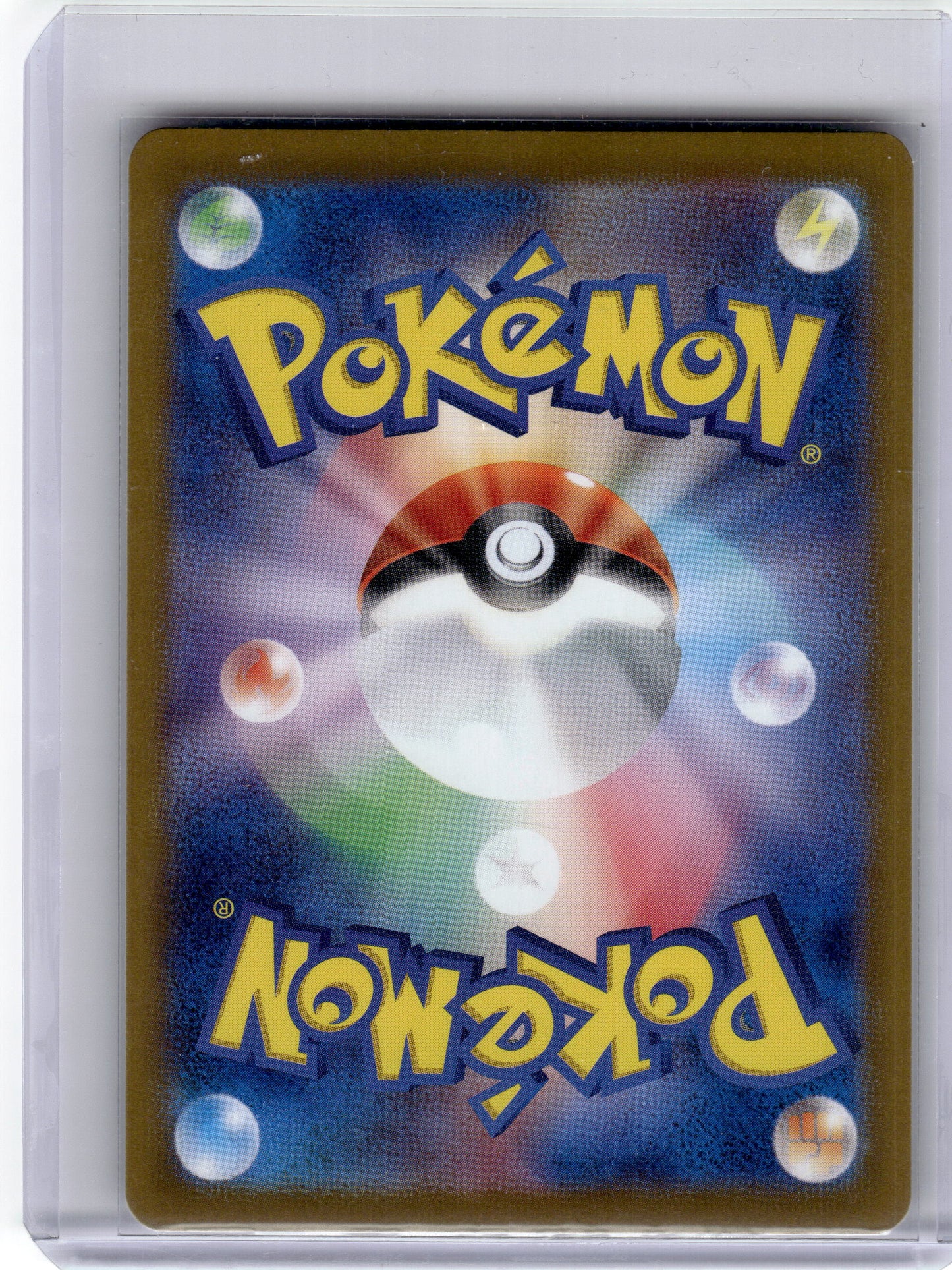 2024 Pokemon Terapagos EX Terastal Fest Ex Ultra Rare #237 Japanese Near Mint