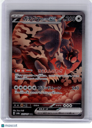 Descriptive image text