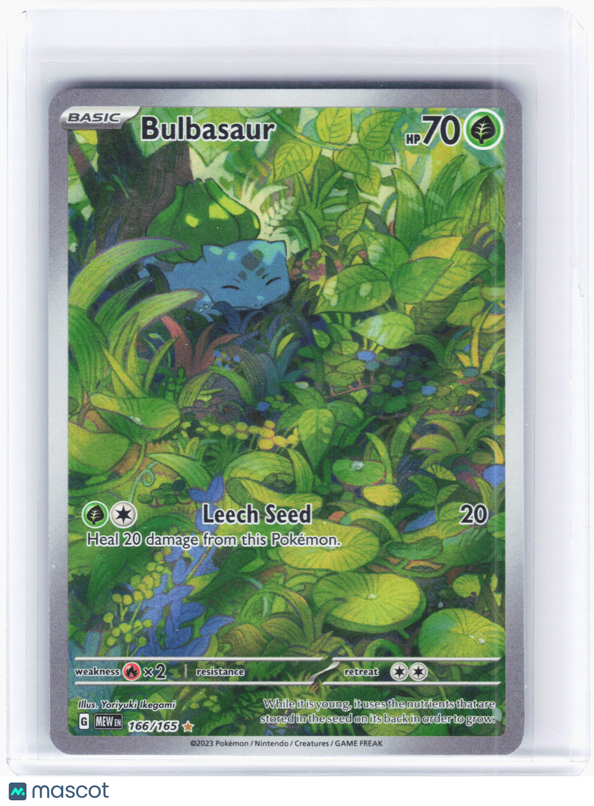 2023 Pokemon—Bulbasaur #166/165 Scarlet & Violet 151—Illustration Rare Foil
