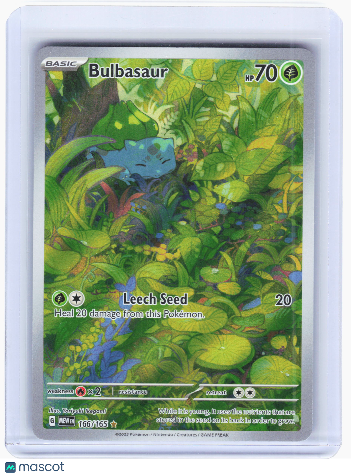 2023 Pokemon—Bulbasaur #166/165 Scarlet & Violet 151—Illustration Rare Foil