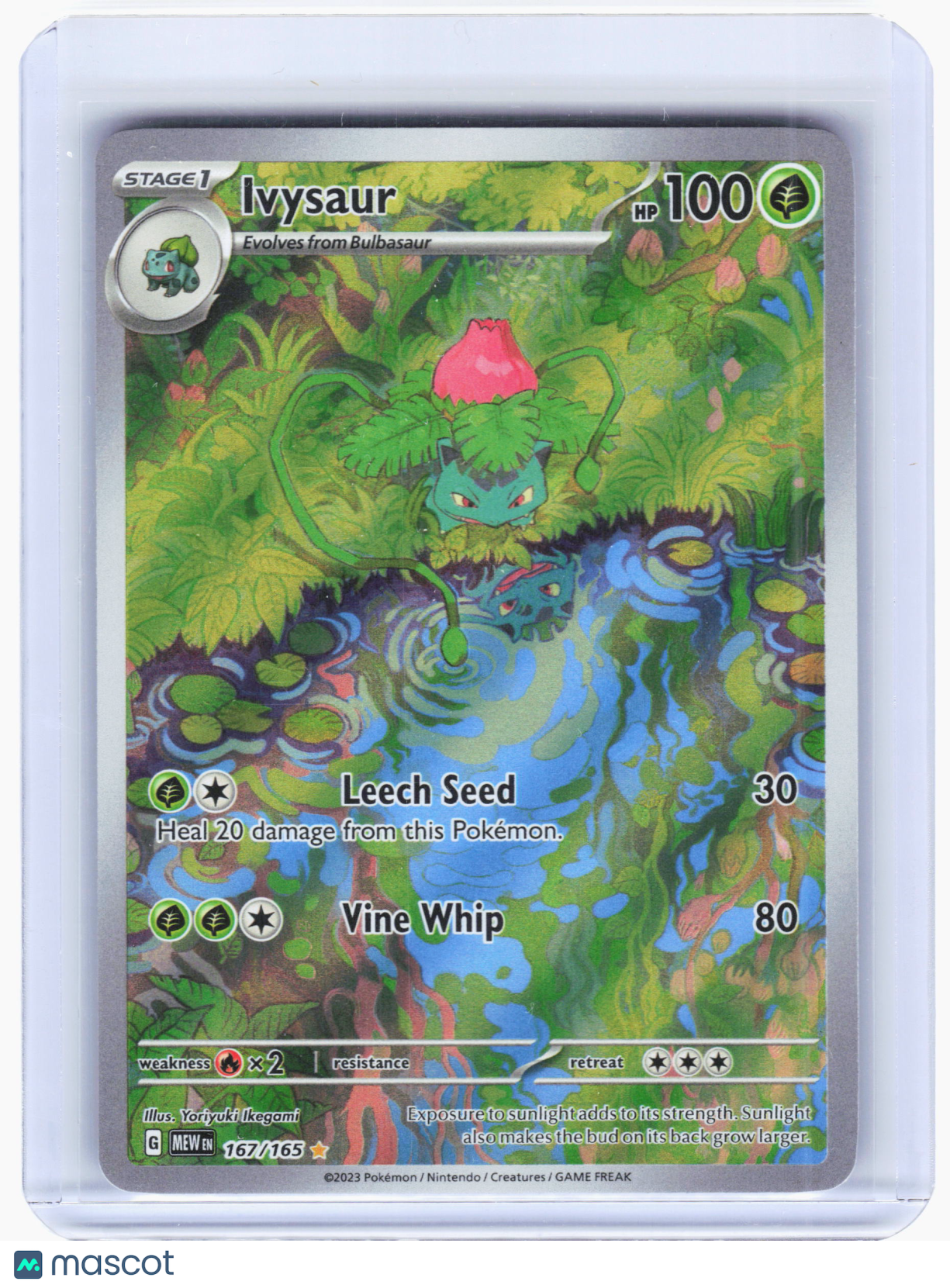 2023 Pokemon—Ivysaur #167/165 Sv: Scarlet & Violet 151—Illustration Rare Foil