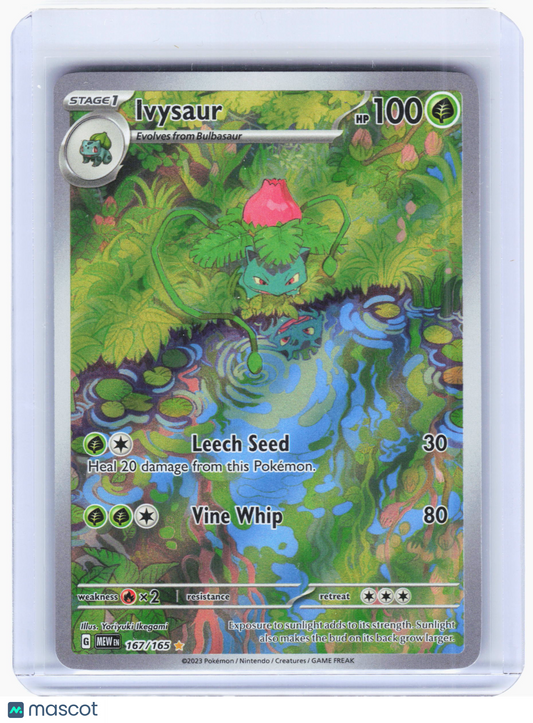 2023 Pokemon—Ivysaur #167/165 Sv: Scarlet & Violet 151—Illustration Rare Foil