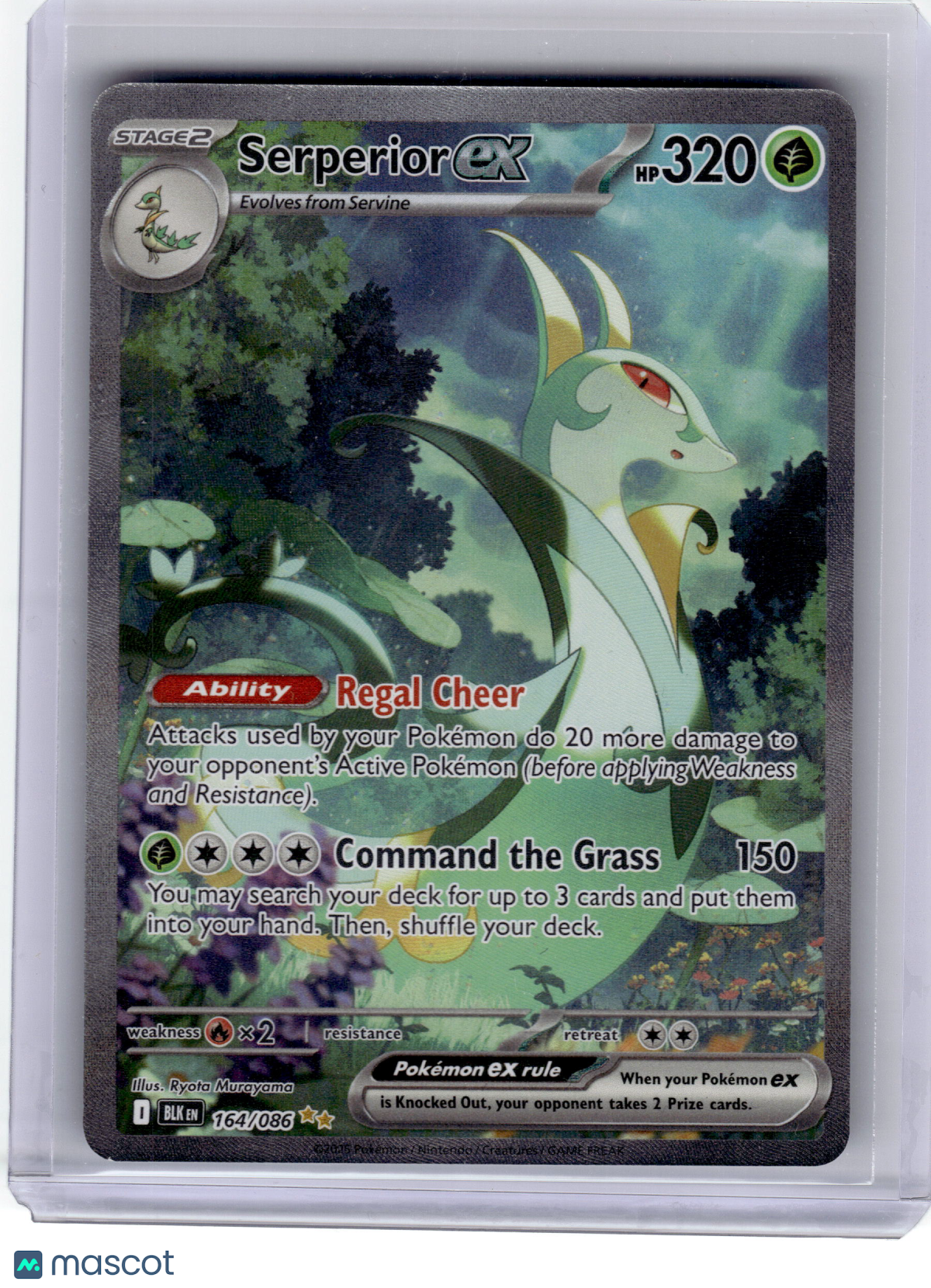 2025 Pokemon—Serperior EX #164/86 Black Bolt—
