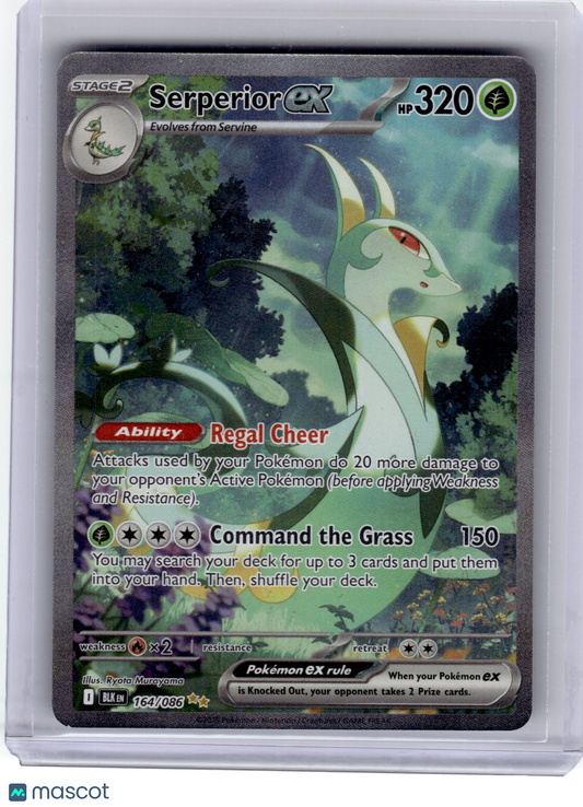 2025 Pokemon—Serperior EX #164/86 Black Bolt—