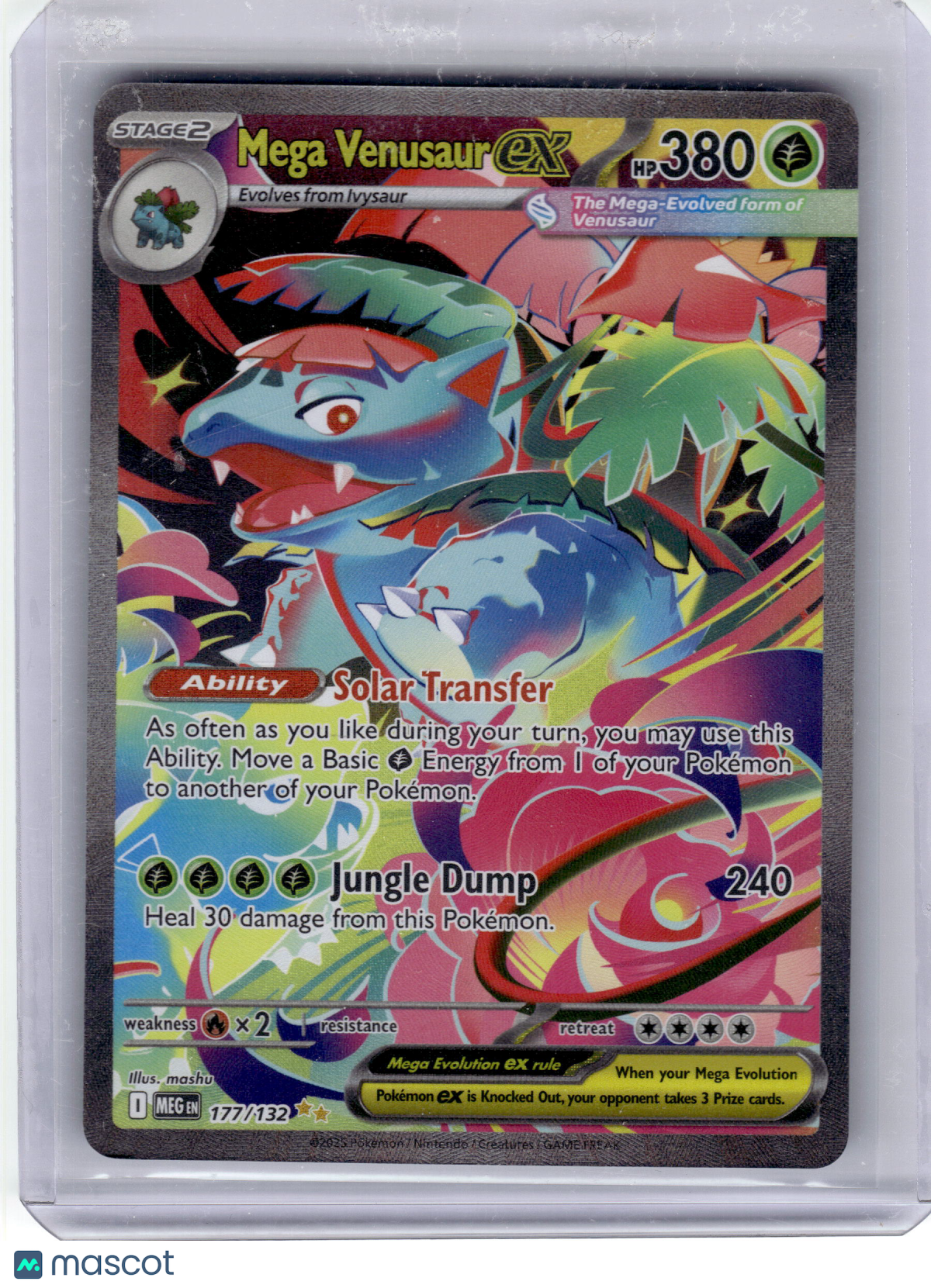 2025 Pokemon—Mega Venusaur EX #177 Mega Evolution—Special Illustration Rare Holo