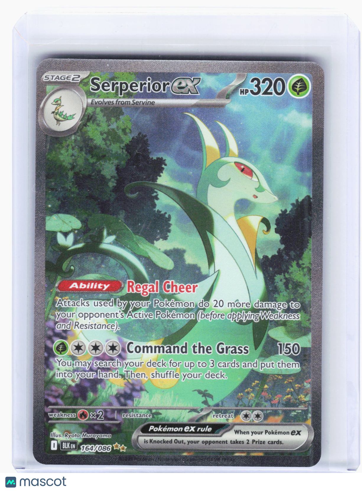 2025 Pokemon—Serperior ex #164/086 Black Bolt—Special Illustration Rare Holo