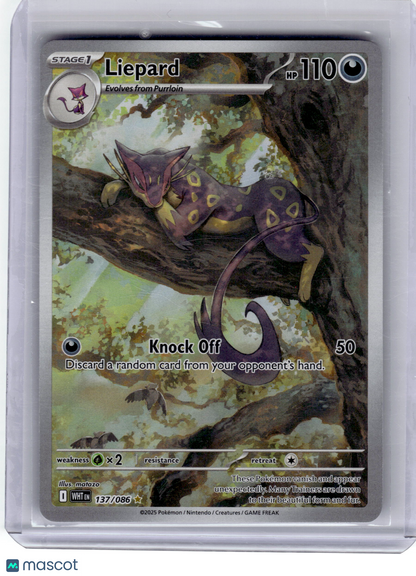 2025 Pokemon—Liepard #137 White Flare—illustration Rare Holo Near Mint