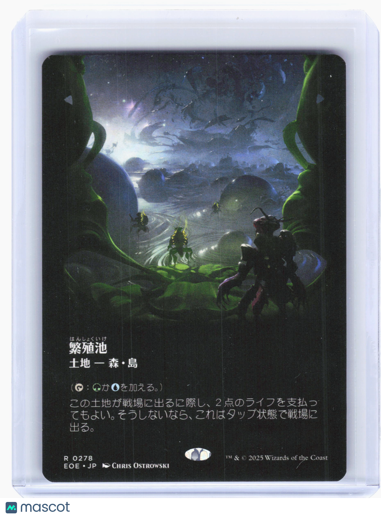 2025 Magic: The Gathering—Breeding Pool #0278 EOE—Non-Foil (Borderless) Japanese