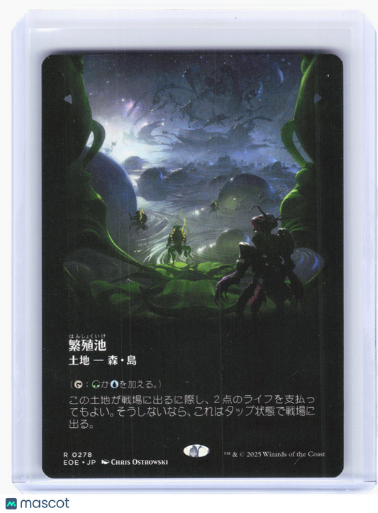 2025 Magic: The Gathering—Breeding Pool #0278 EOE—Non-Foil (Borderless) Japanese