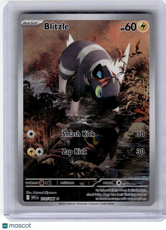 2025 Pokemon—Blitzle #114/86 Scarlet & Violet White Flare—Illustration Rare Foil