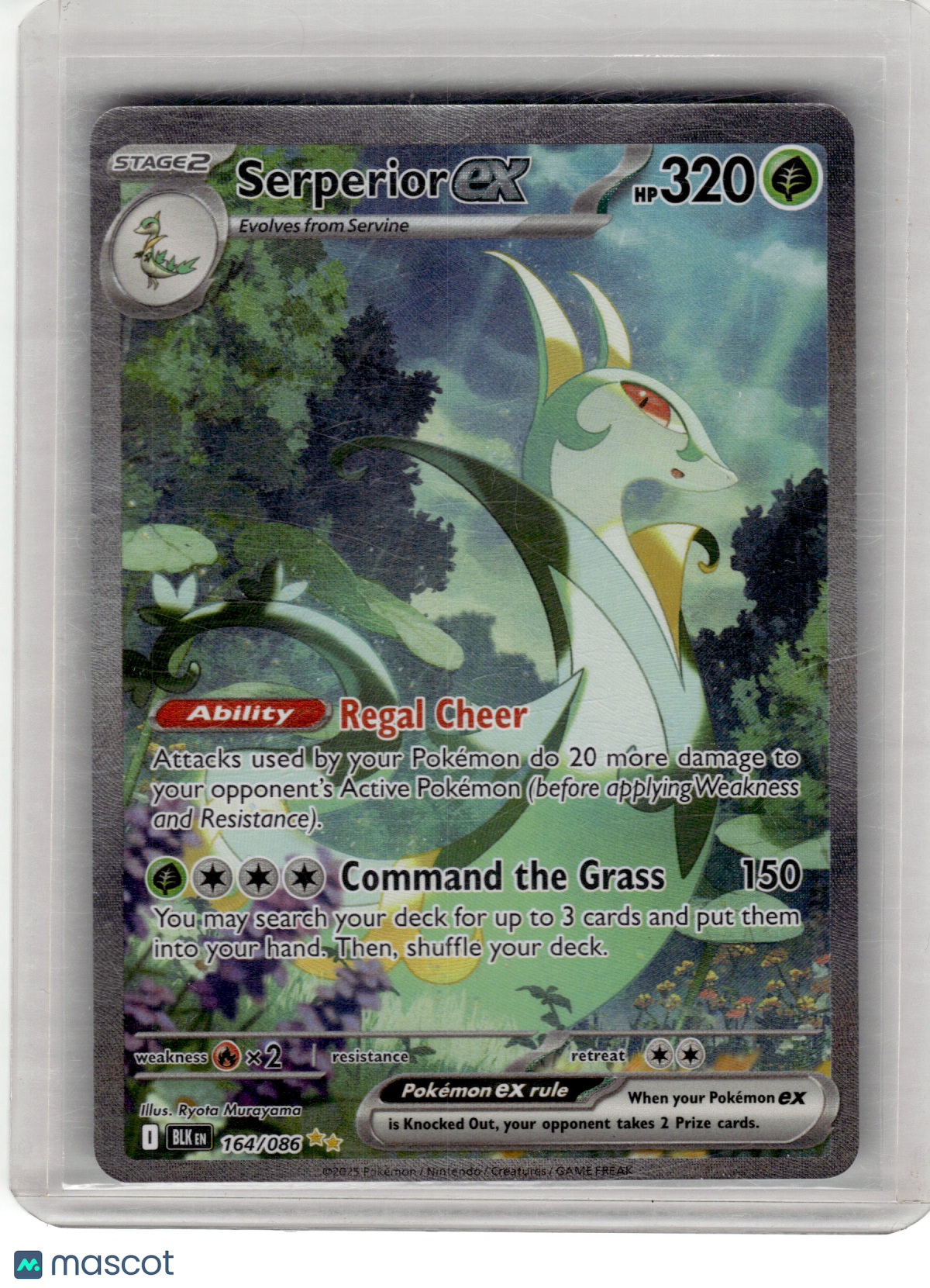 2025 Pokemon—Serperior EX #164/86 Black Bolt— Near Mint