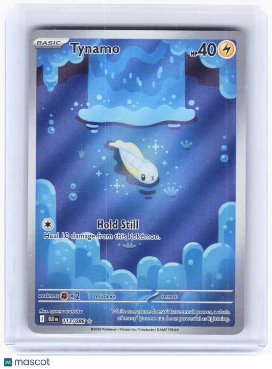 2025 Pokemon—Tynamo #113 Black Bolt—Illustration Rare Holo