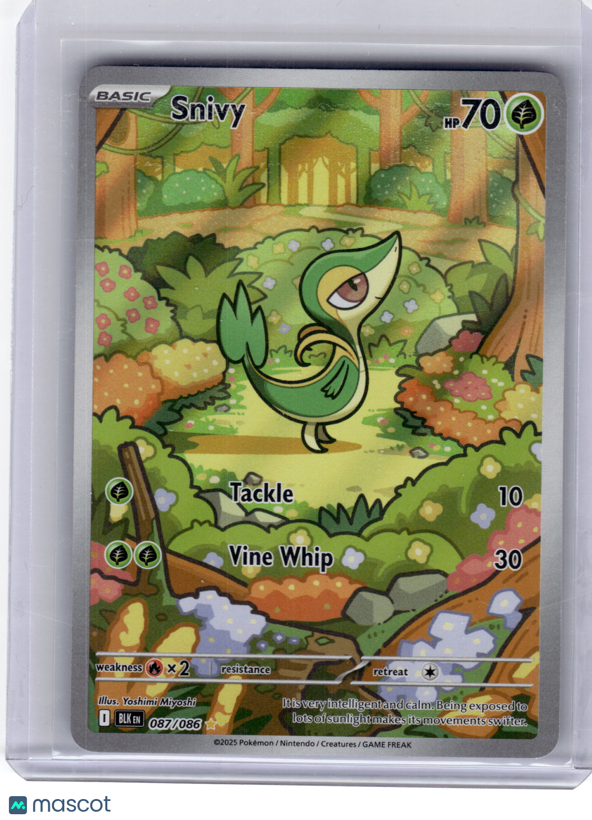 2025 Pokemon—Snivy #87 Black Bolt—Illustration Rare Holo Near Mint