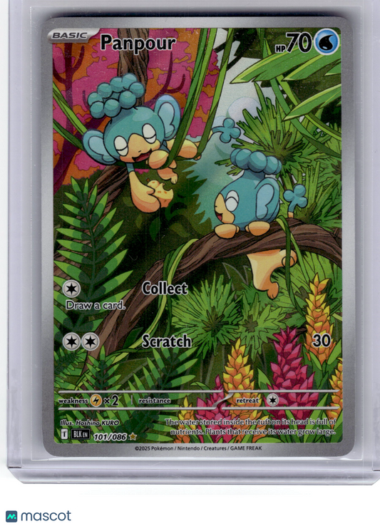 2025 Pokemon—Panpour #101 Black Bolt—Illustration Rare Near Mint
