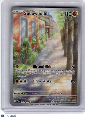 Descriptive image text