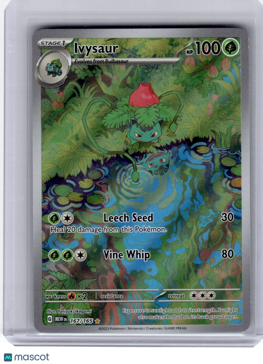 2023 Pokemon—Ivysaur #167 Scarlet & Violet 151—Illustration Rare Holo Near Mint