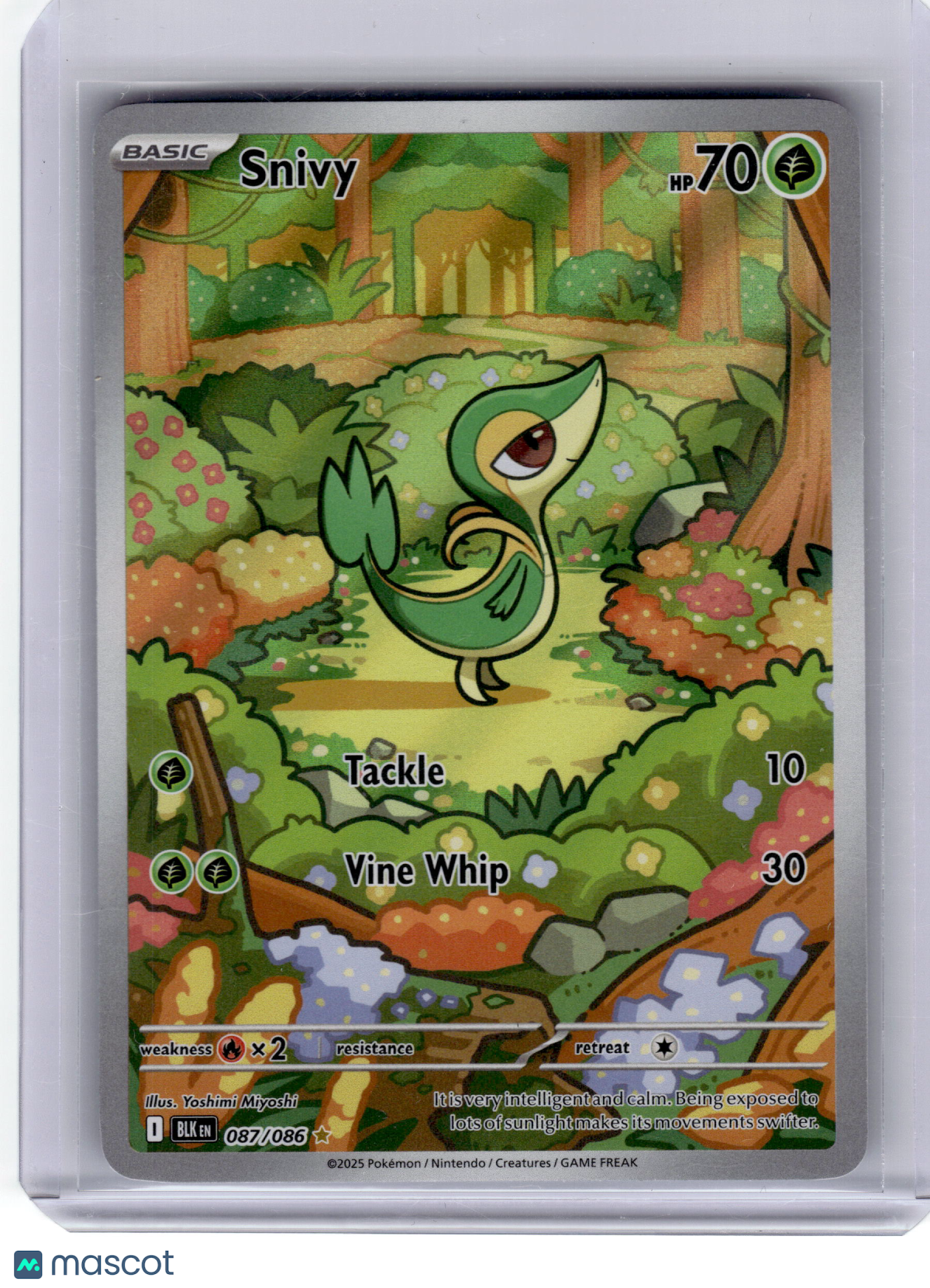 2025 Pokemon—Snivy #87 Black Bolt—Illustration Rare Near Mint