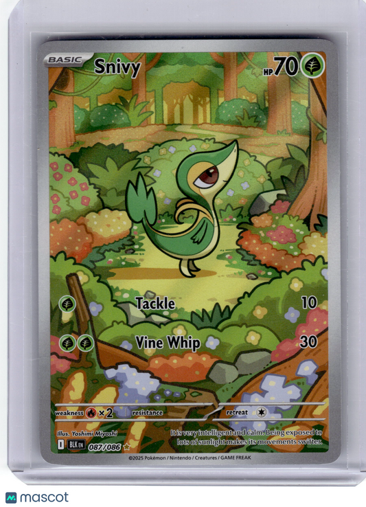 2025 Pokemon—Snivy #87 Black Bolt—Illustration Rare Near Mint