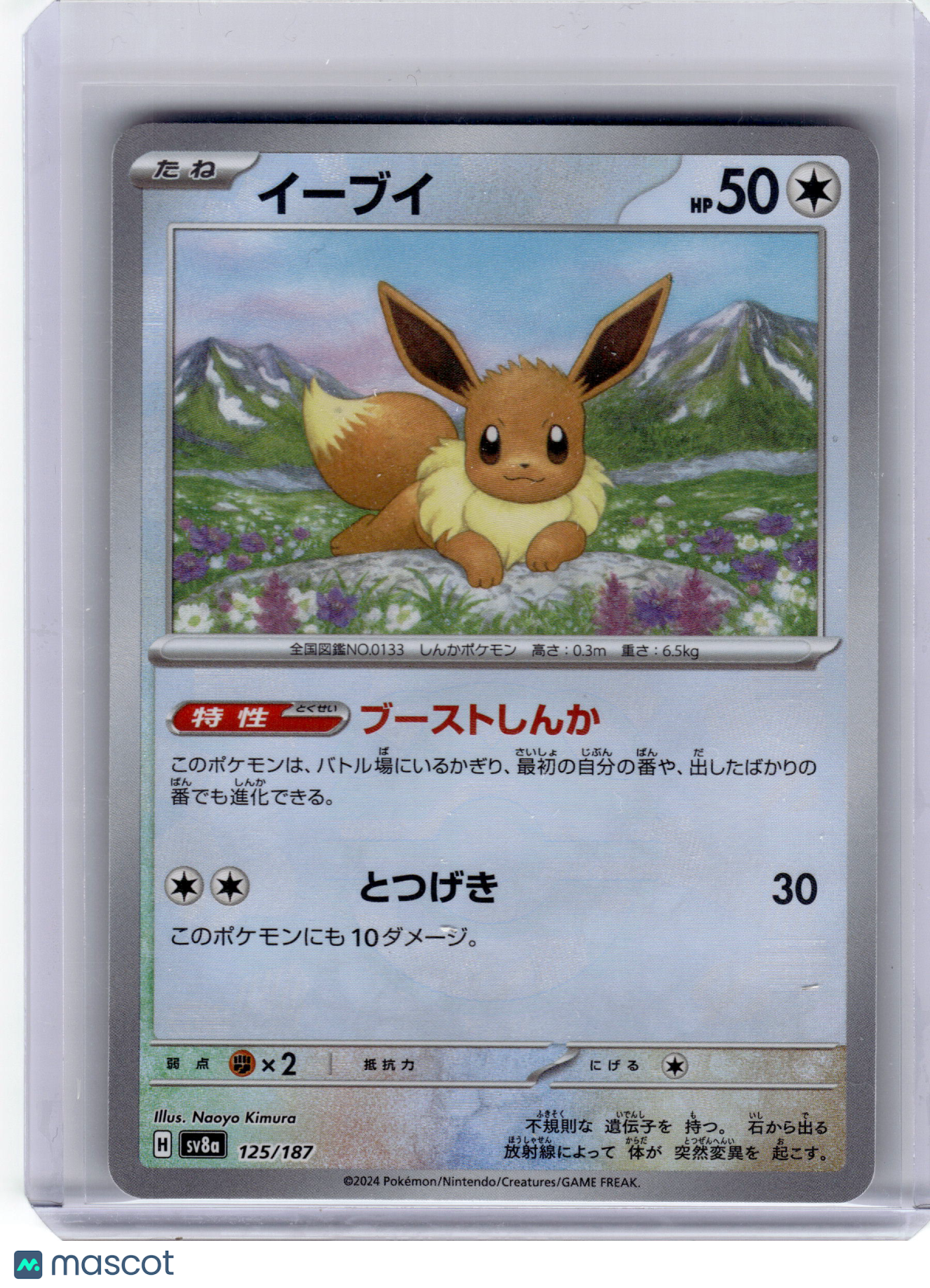 2024 Pokemon—Eevee #125 Sv8a: Terastal Fest Ex—Japanese (Masterball) Near Mint