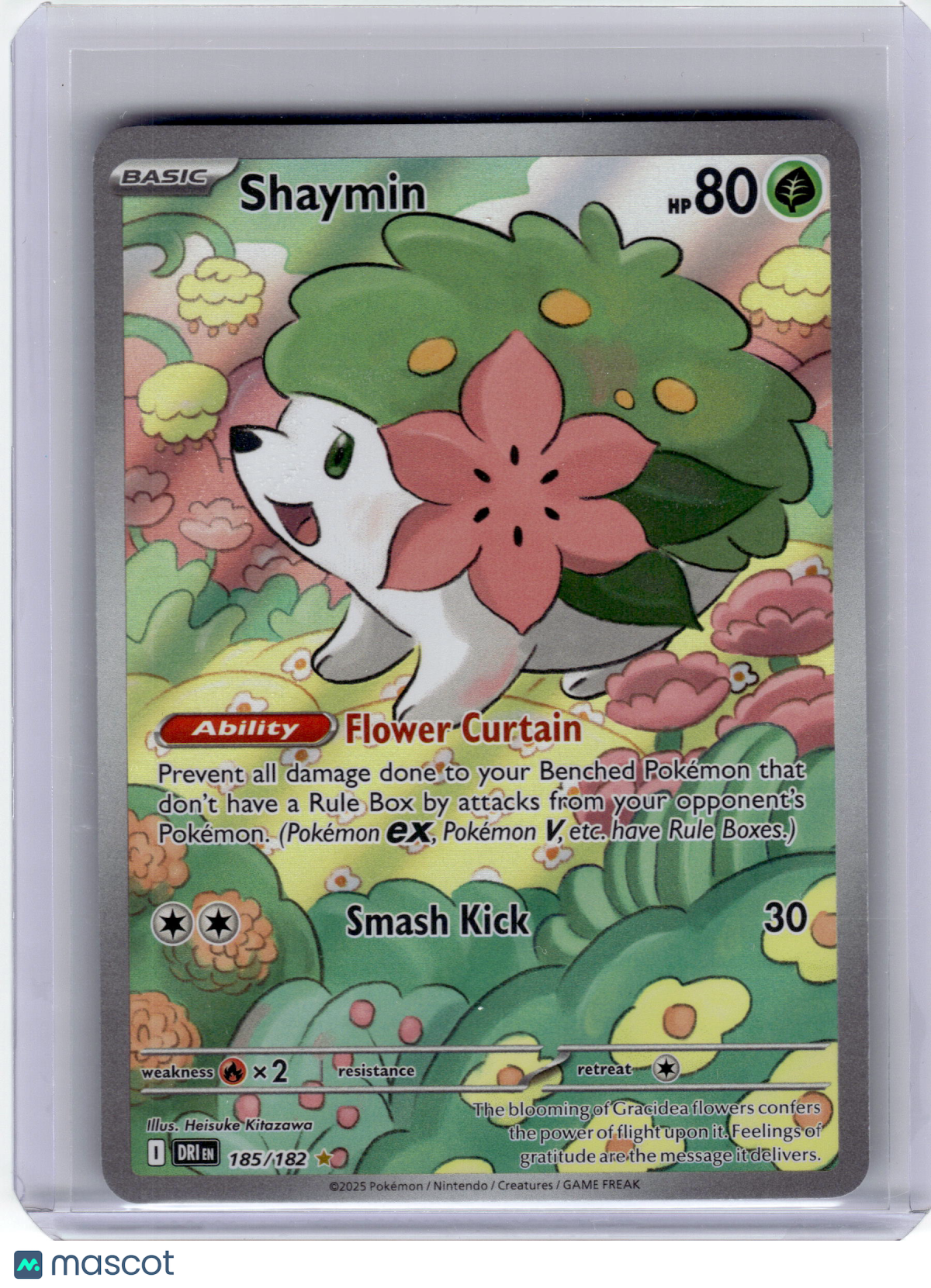 2025 Pokemon—Shaymin #185 Destined Rivals—Illustration Rare Holo Near Mint