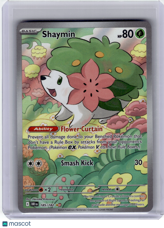 2025 Pokemon—Shaymin #185 Destined Rivals—Illustration Rare Holo Near Mint