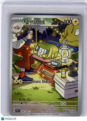 Descriptive image text