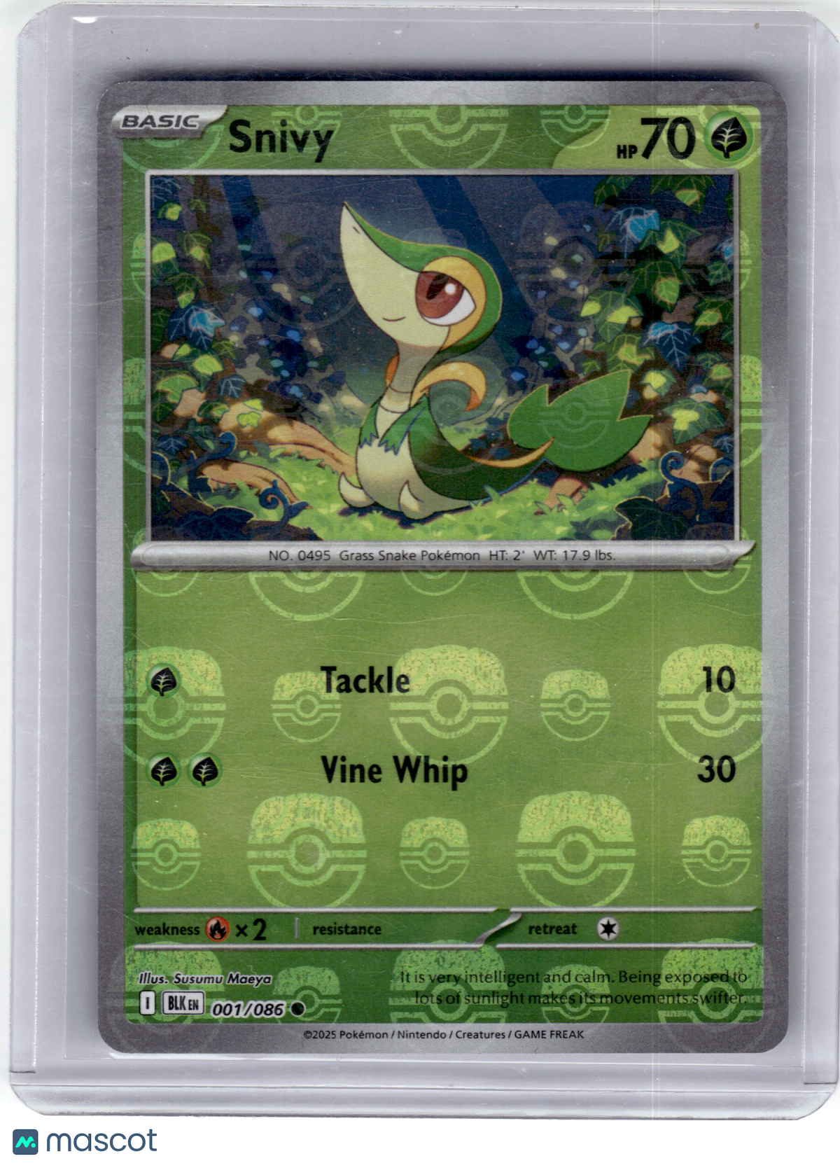 2025 Pokemon—Snivy #1 Black Bolt— Reverse Holo (Masterball) Near Mint
