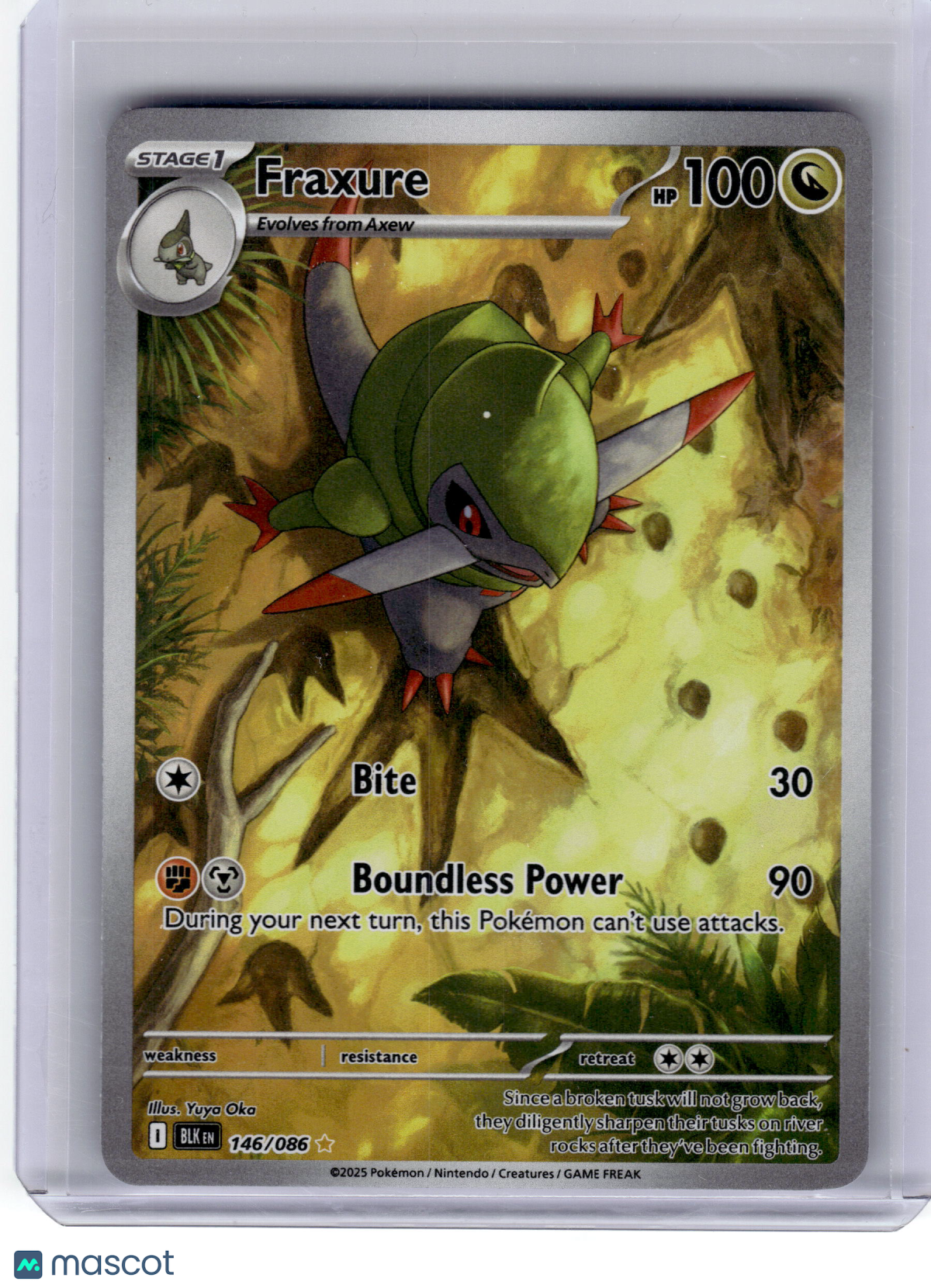 2025 Pokemon—Fraxure #146 Black Bolt—Illustration Rare Near Mint