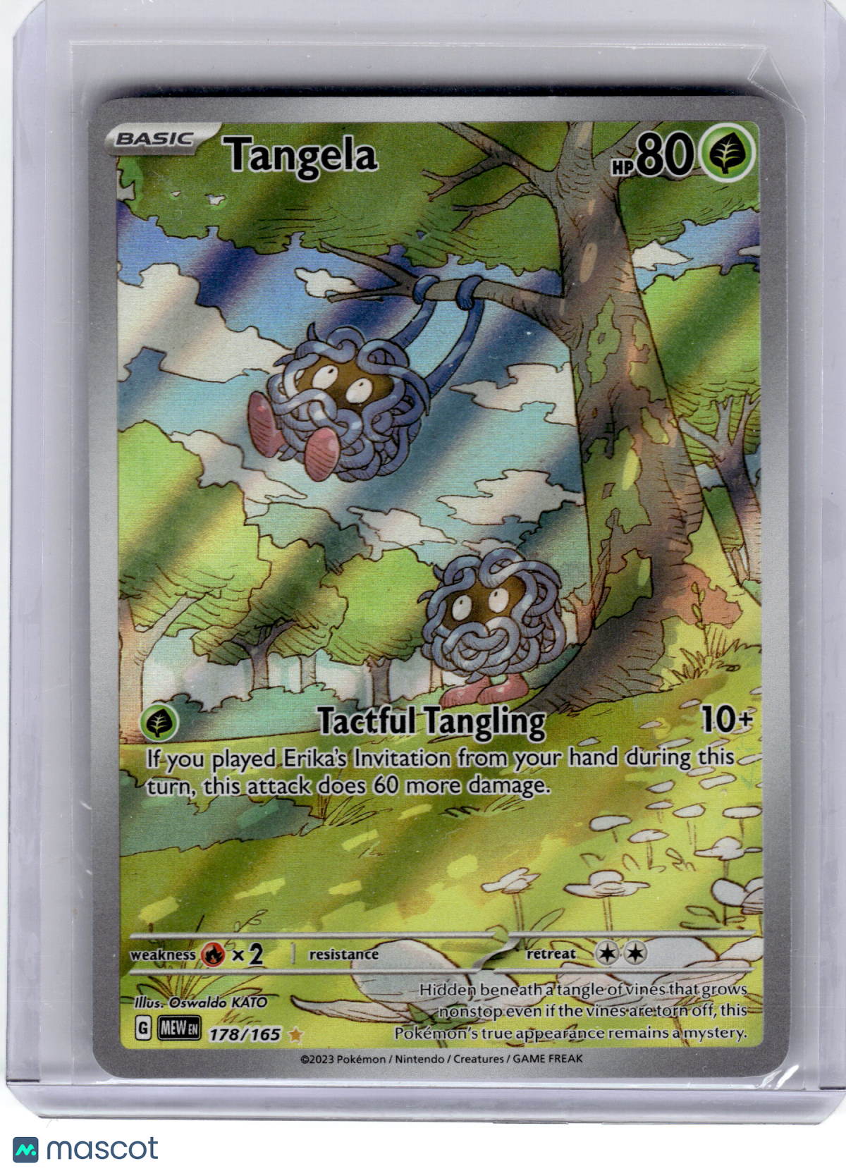 2023 Pokemon—Tangela #178 Scarlet & Violet 151—Illustration Rare Holo Near Mint