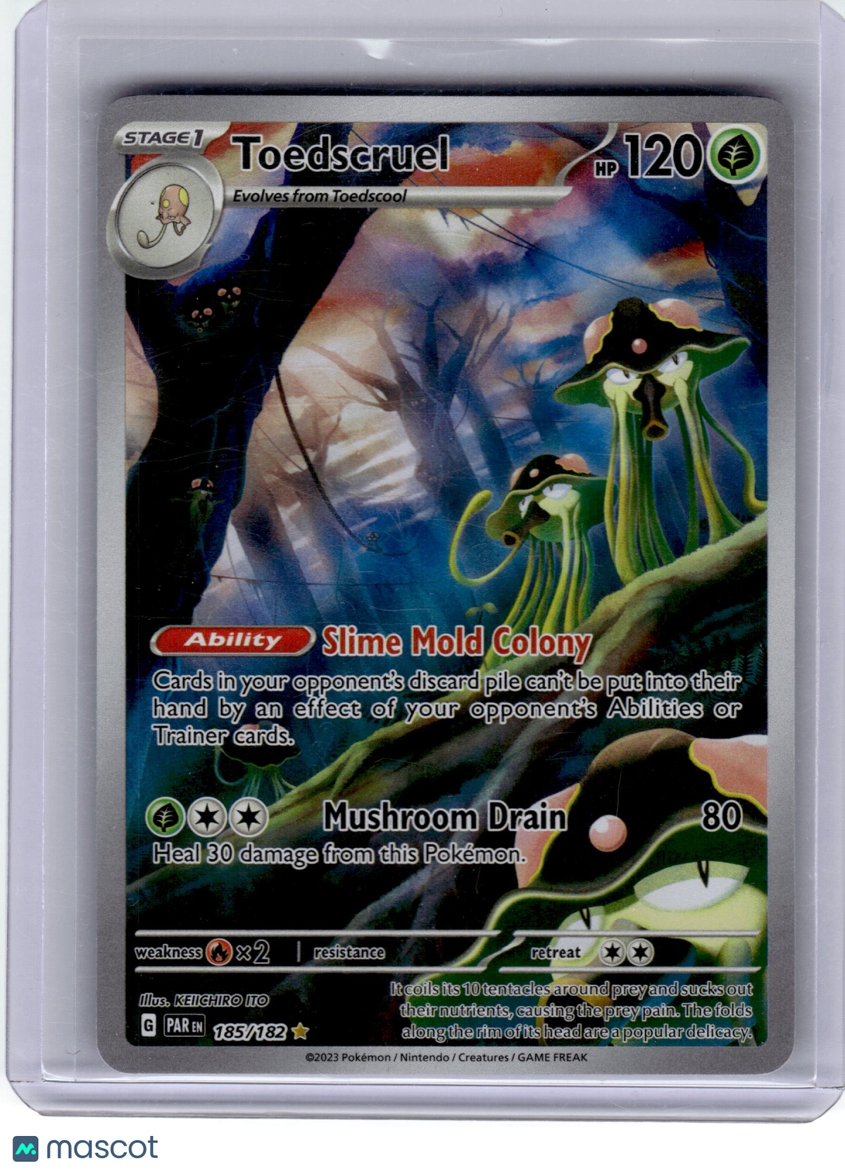 2023 Pokemon—Toedscruel #185 Paradox Rift—Illustration Rare Near Mint
