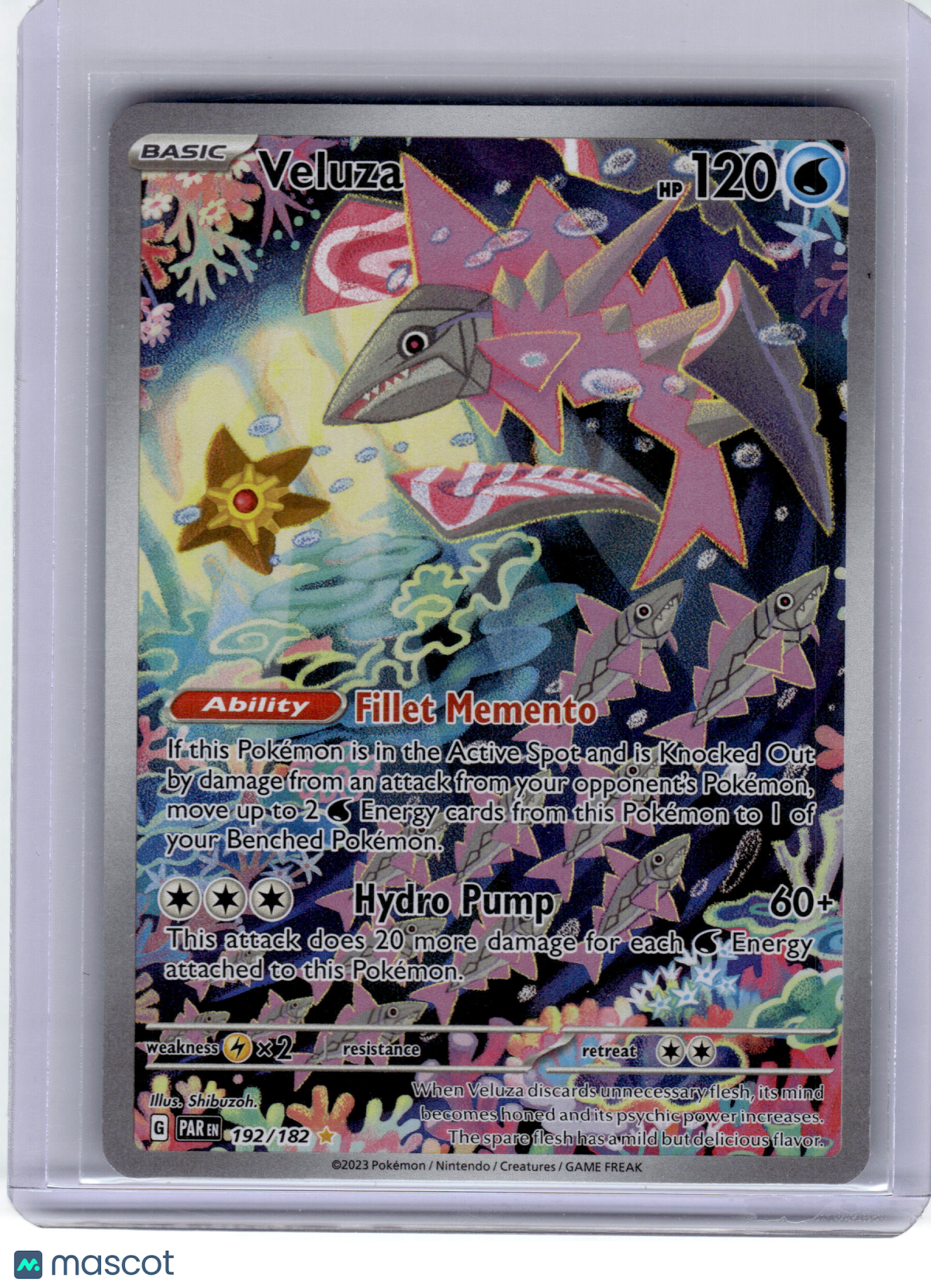 2023 Pokemon—Veluza #192 Paradox Rift—Illustration Rare Holo Near Mint