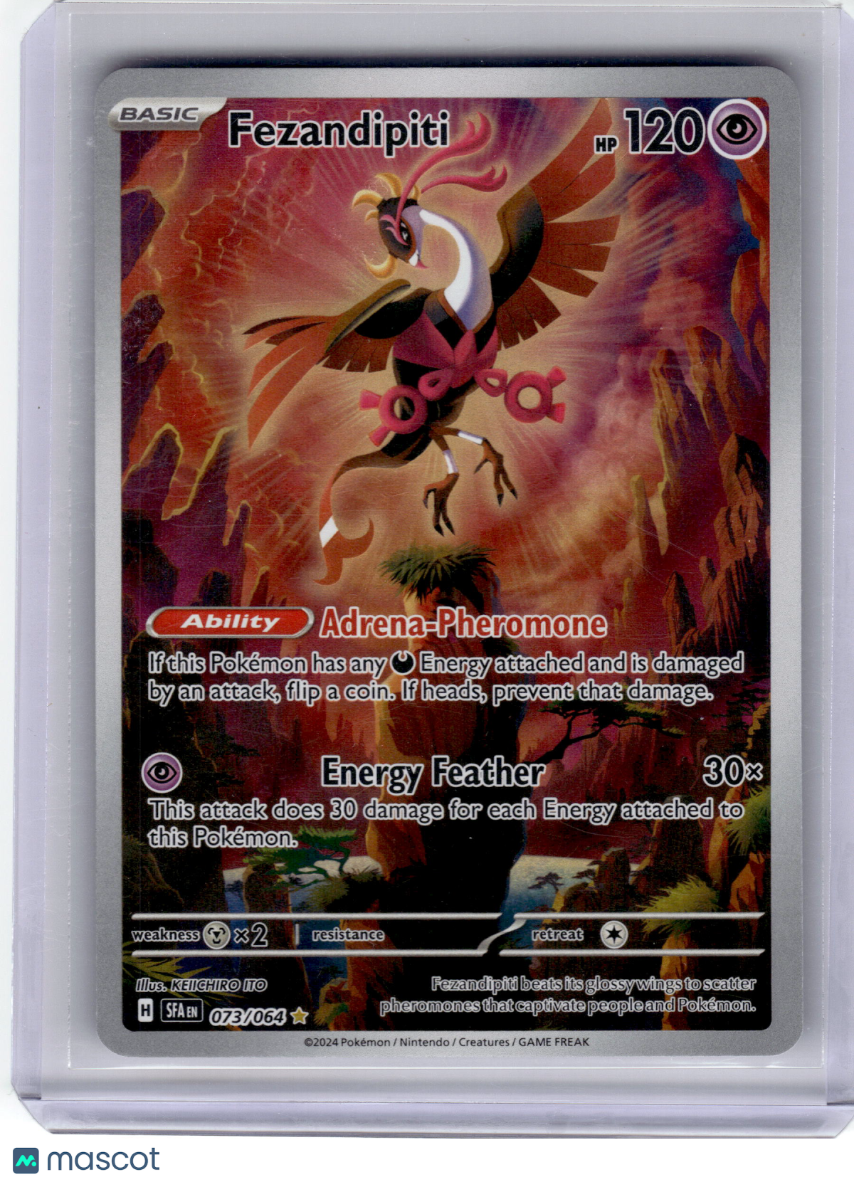 2024 Pokemon—Fezandipiti #73 Shrouded Fable—Illustration Rare Holo Near Mint