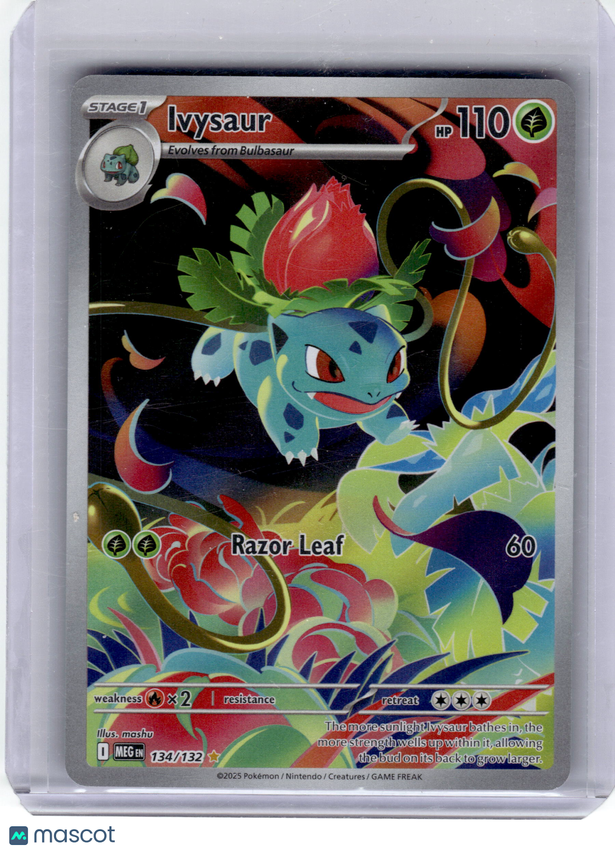 2025 Pokemon—Ivysaur #134 Mega Evolution—Illustration Rare Holo