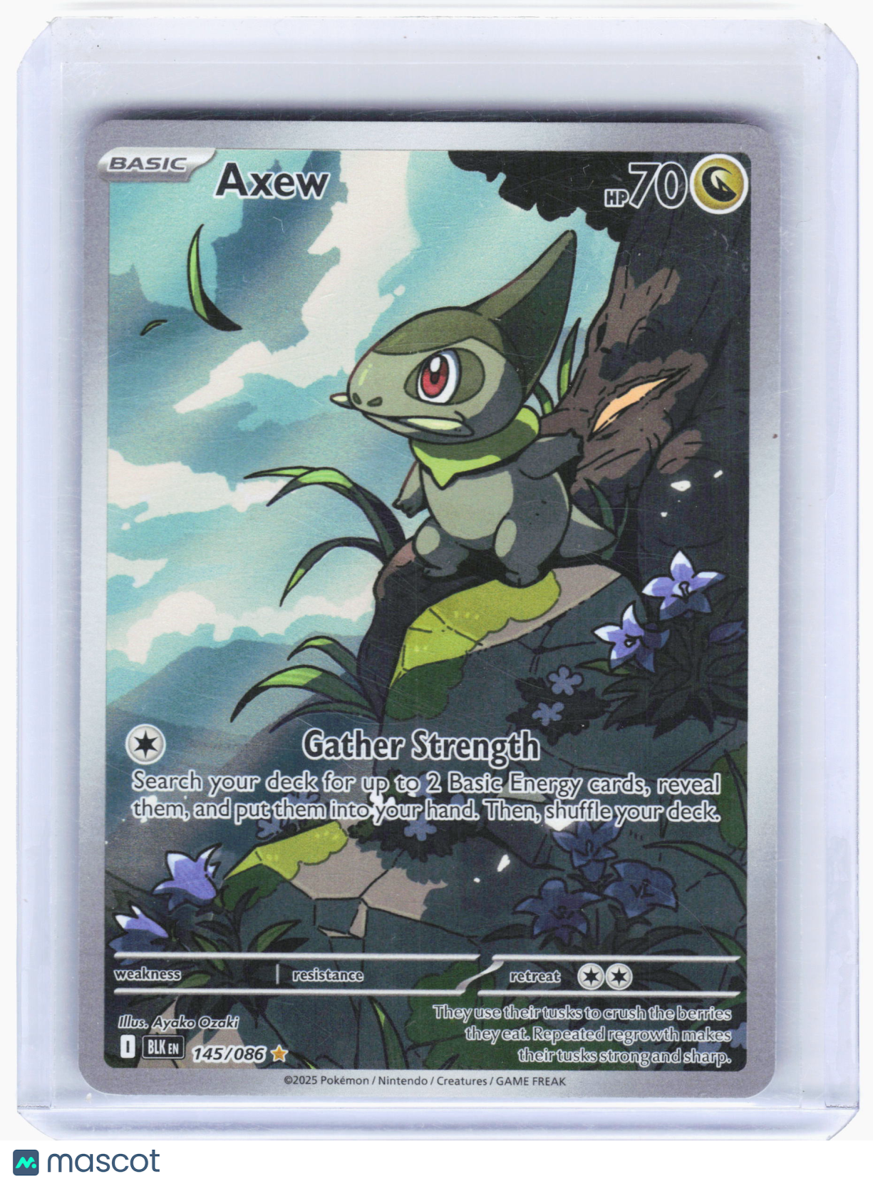 2025 Pokemon—Axew #145/086 Black Bolt—Illustration Rare Foil