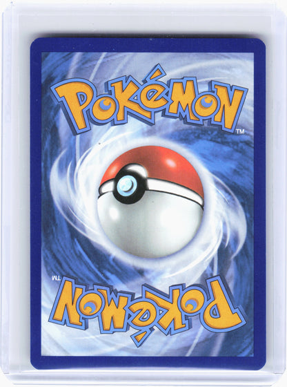 2024 Pokemon—Lana's Aid #219 Twilight Masquerade—Special Illustration Rare Holo