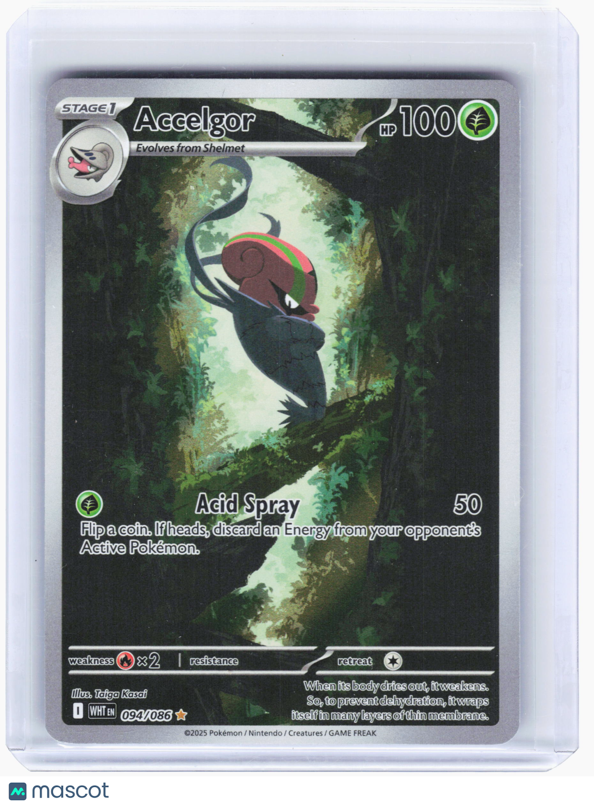 2025 Pokemon—Accelgor #094/086 White Flare—Illustration Rare Foil