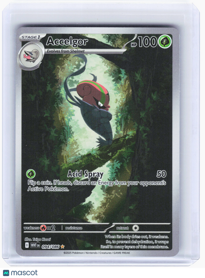 2025 Pokemon—Accelgor #094/086 White Flare—Illustration Rare Foil