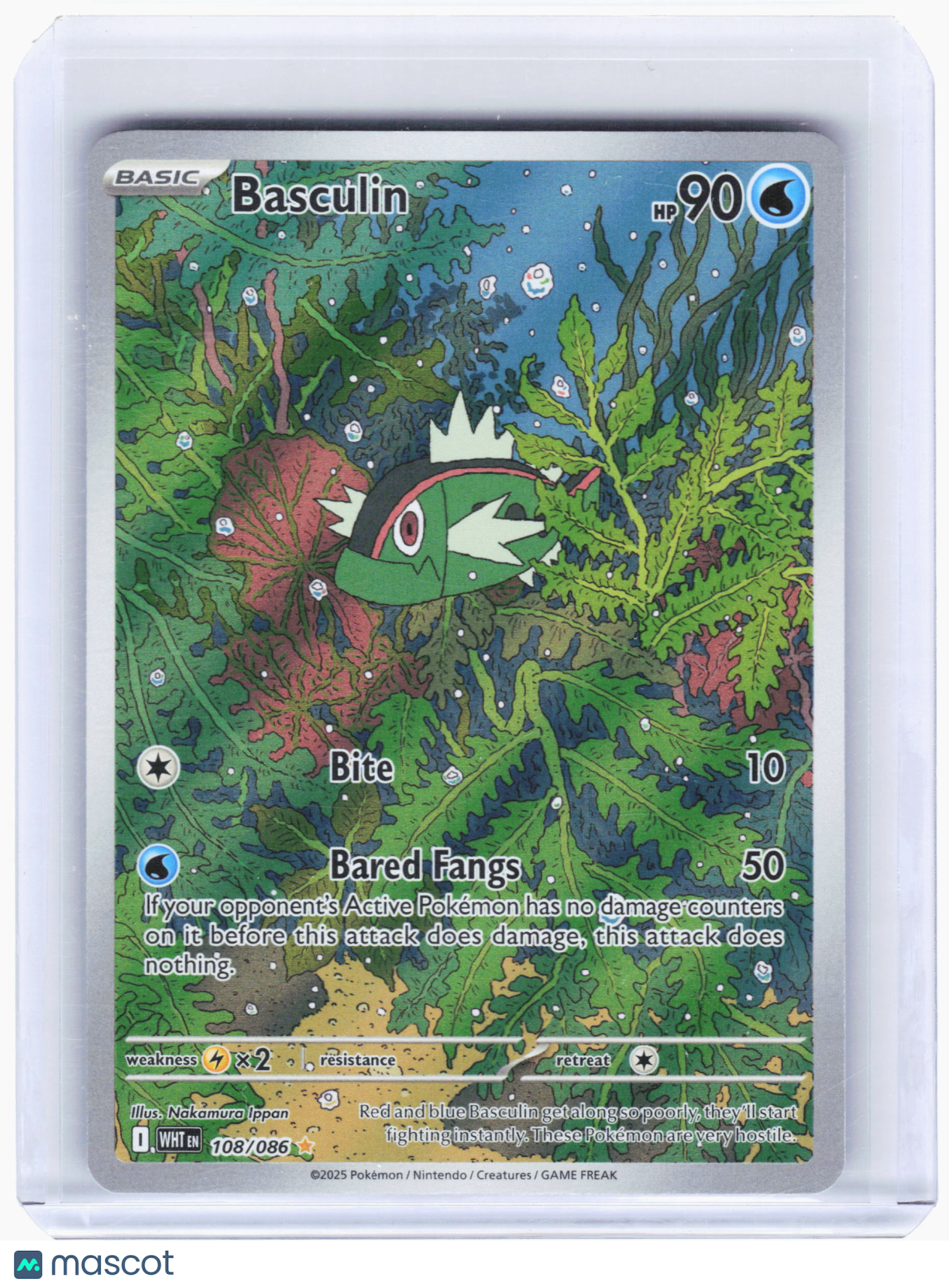 2025 Pokemon—Basculin #108/086 White Flare—Illustration Rare Foil