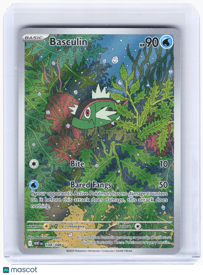 2025 Pokemon—Basculin #108/086 White Flare—Illustration Rare Foil