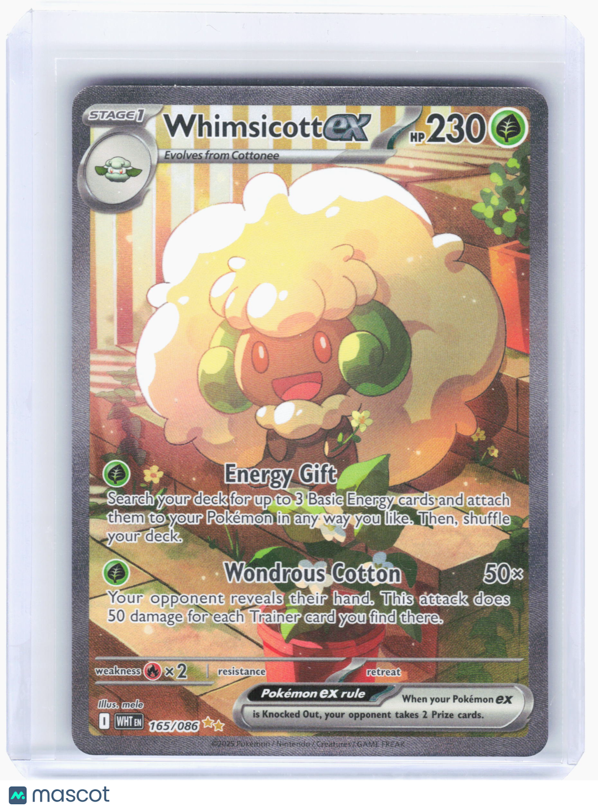 2025 Pokemon—Whimsicott ex #165/086 White Flare—Special Illustration Rare Holo
