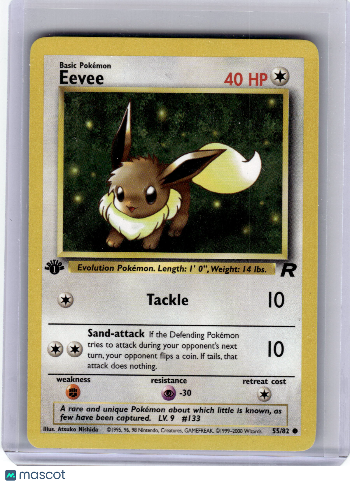 2000 Pokemon—Eevee #55 Team Rocket—Uncommon Non Holo 1st Edition