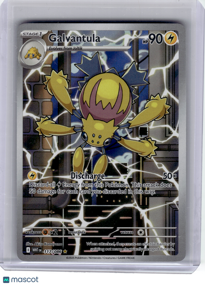2025 Pokemon—Galvantula #117 White Flare—Illustration Rare Holo