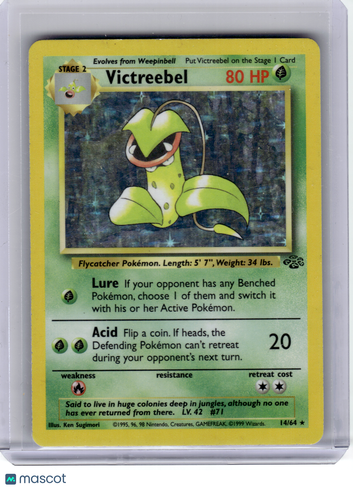 1999 Pokemon—Victreebel #14 Jungle—Rare Holo [Damage]