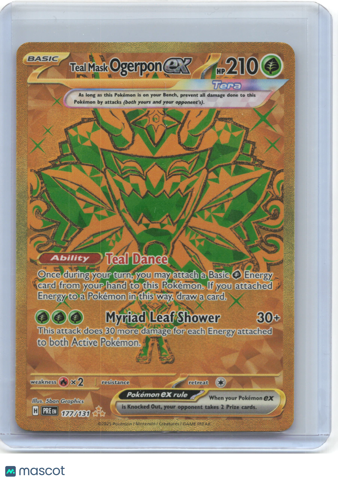 2024 Pokemon—Teal Mask Ogerpon ex #177/131 Prismatic Evolutions—Hyper Rare Gold