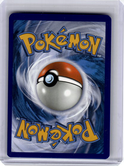 2022 Pokemon—Charizard VSTAR #SWSH262 Sword & Shield—Black Star Promo Holo