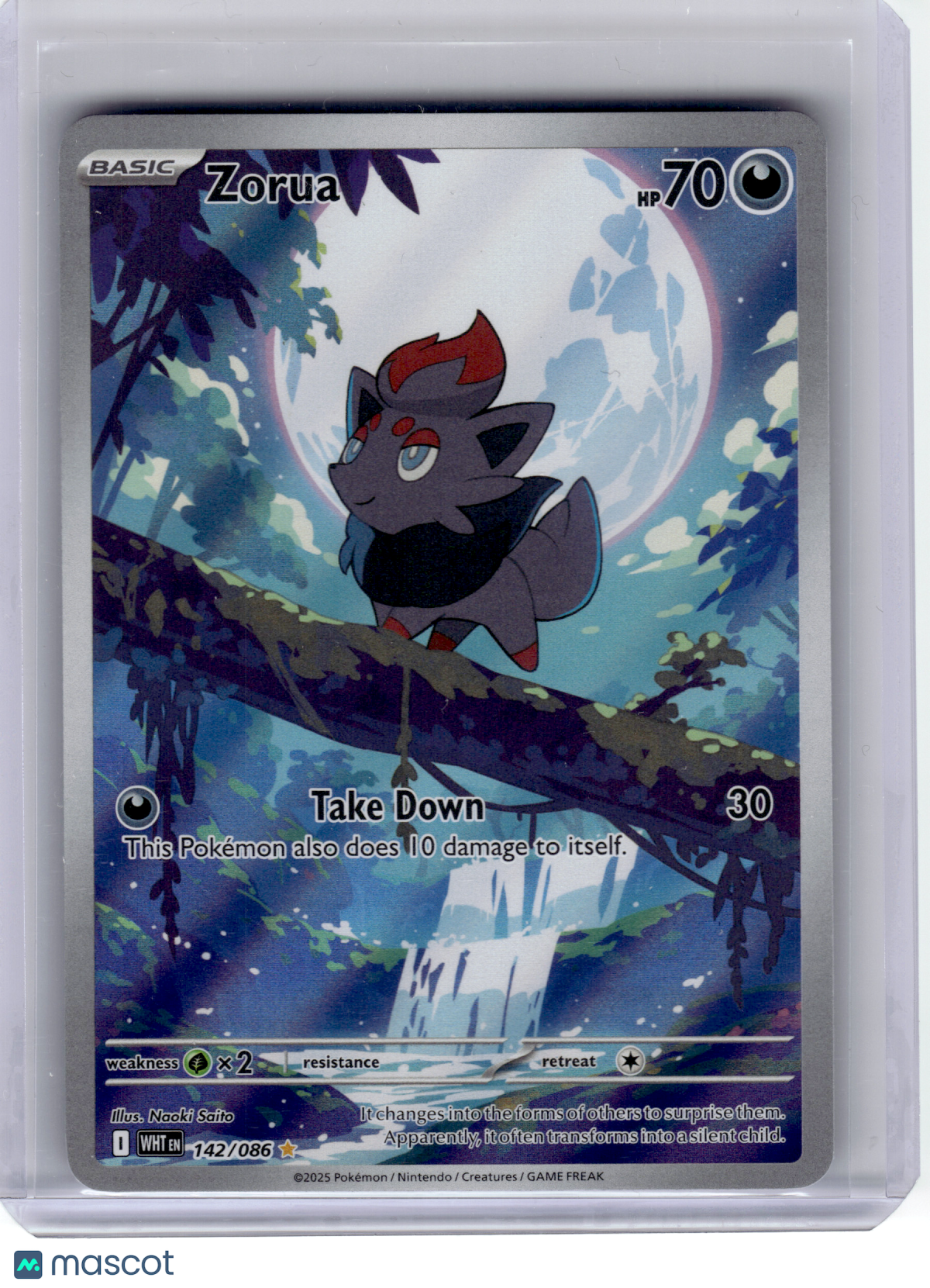 2025 Pokemon—Zorua #142 White Flare—Illustration Rare Holo