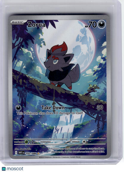 2025 Pokemon—Zorua #142 White Flare—Illustration Rare Holo