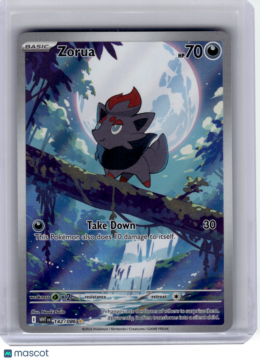 2025 Pokemon—Zorua #142 White Flare—Illustration Rare Holo